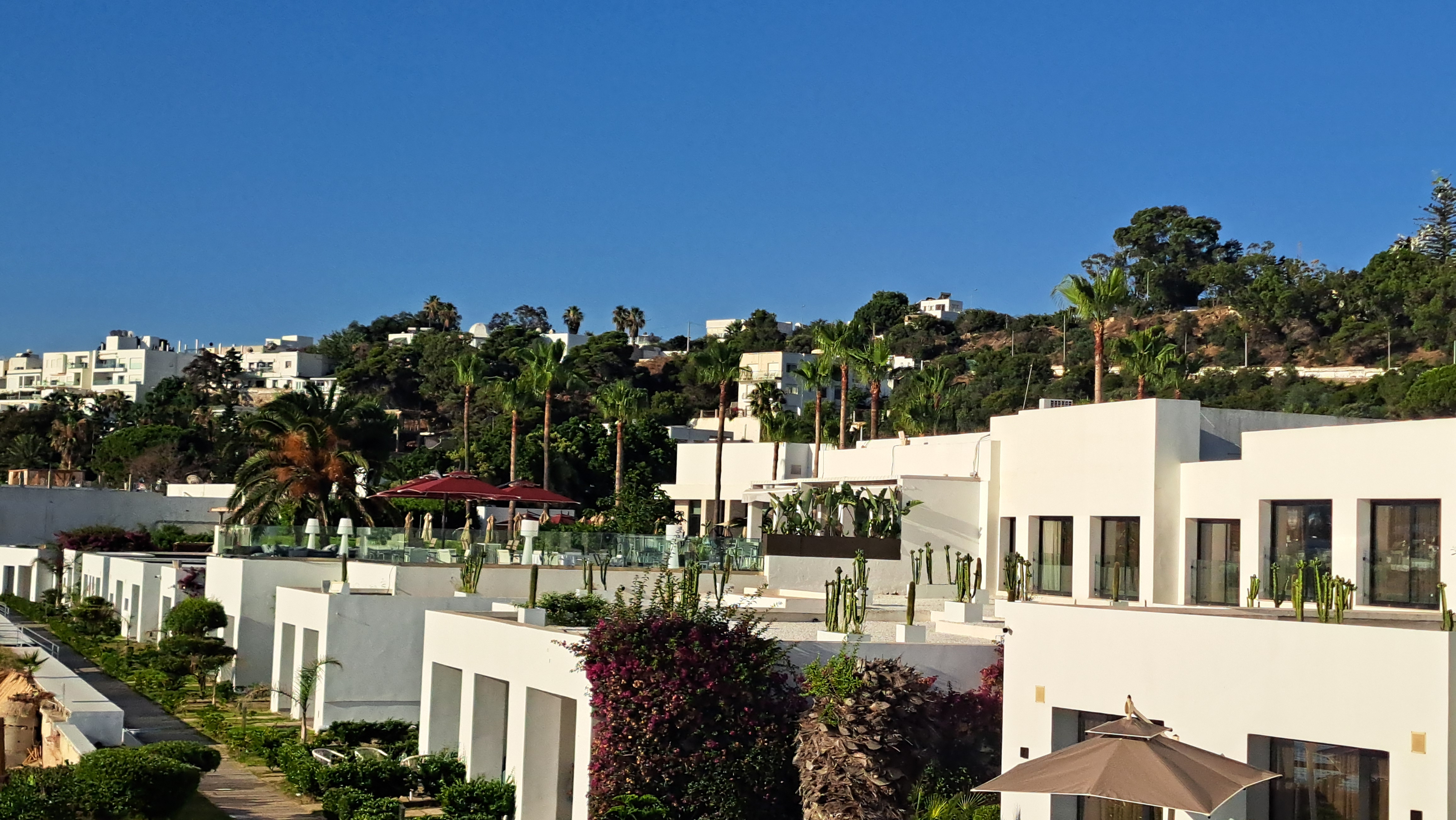 Aménagement paysager d'hôtel en Tunisie